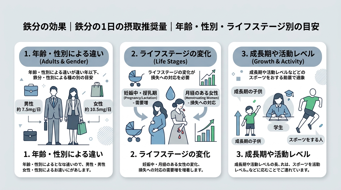 鉄分の1日の摂取推奨量|年齢・性別・ライフステージ別の目安