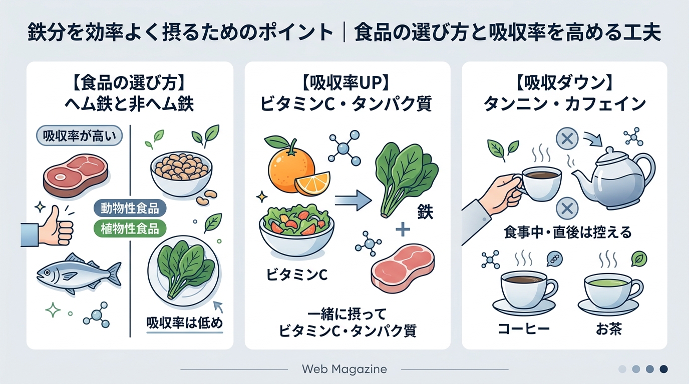 鉄分を効率よく摂るためのポイント|食品の選び方と吸収率を高める工夫