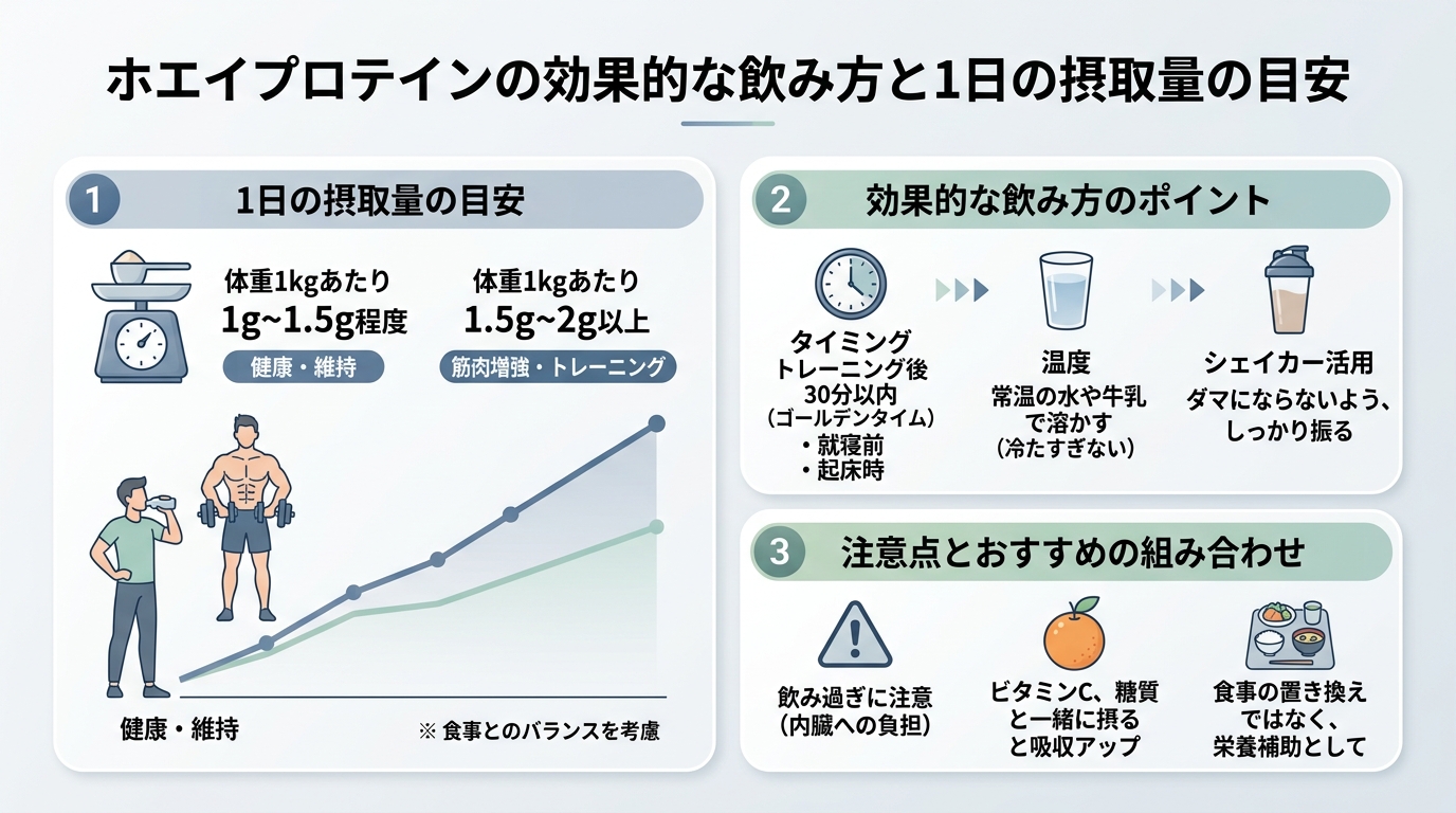 ホエイプロテインの効果的な飲み方と1日の摂取量の目安
